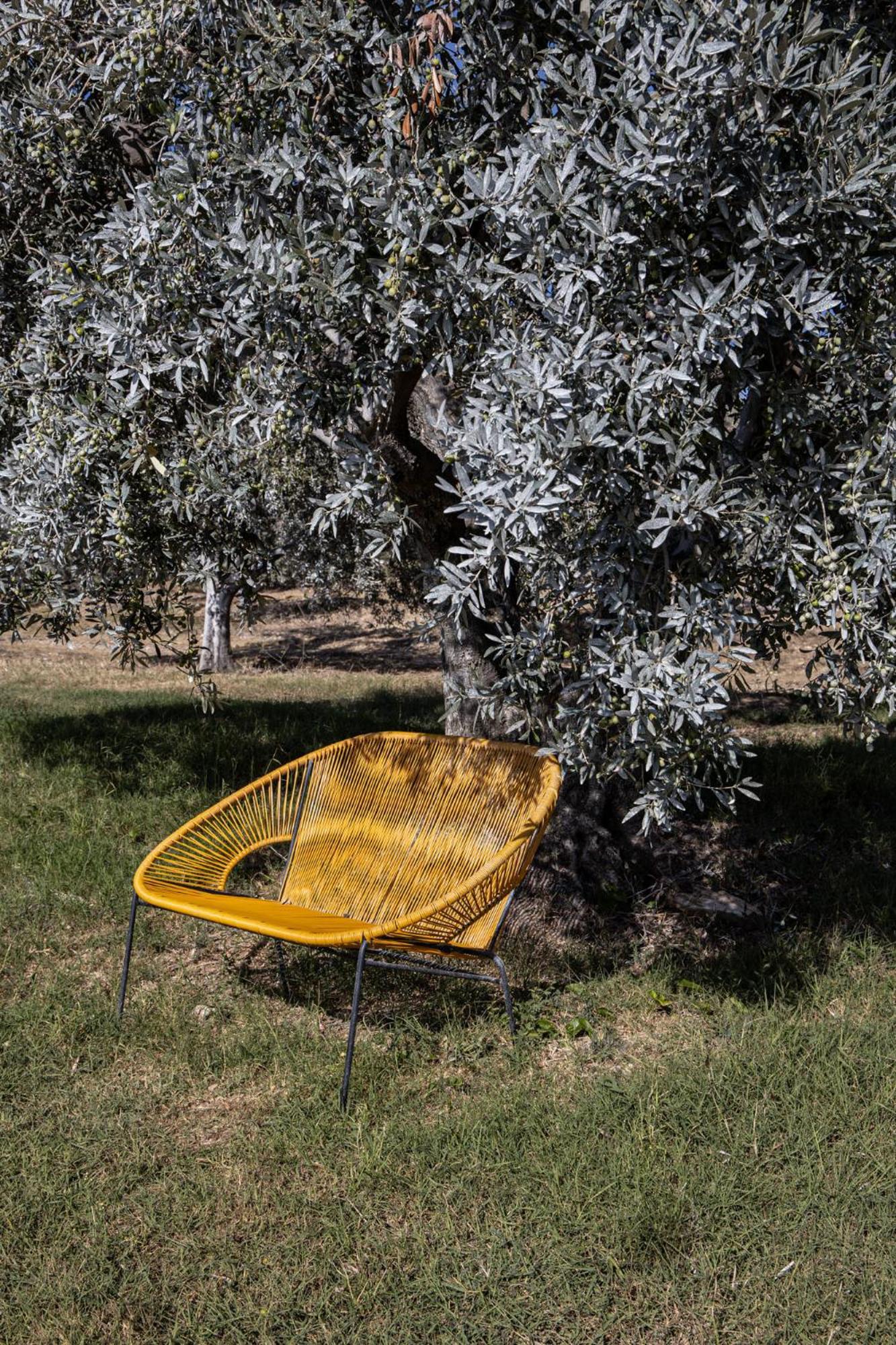 Agriturismo Podere L'Agave San Vincenzo Extérieur photo