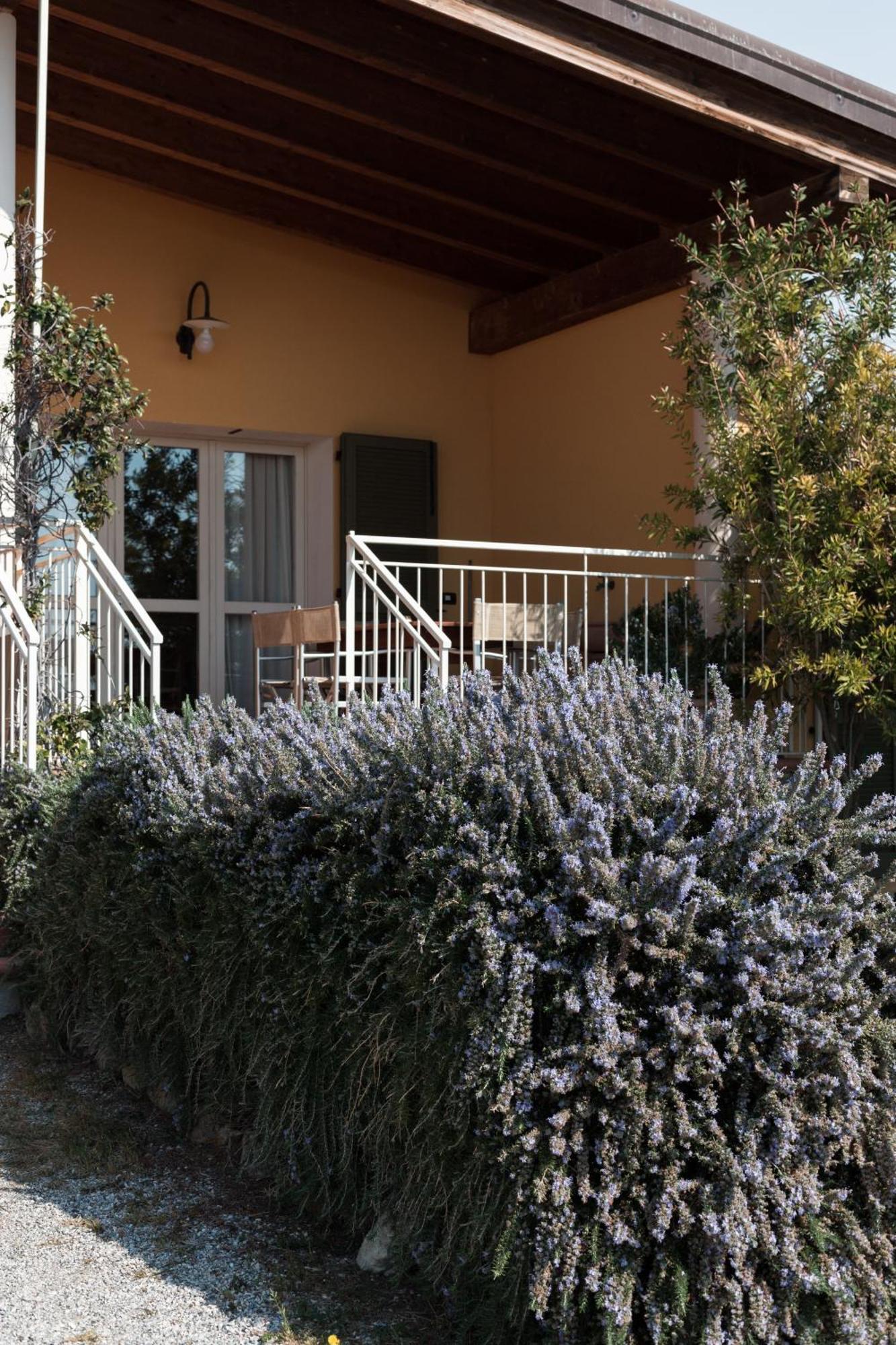 Agriturismo Podere L'Agave San Vincenzo Extérieur photo
